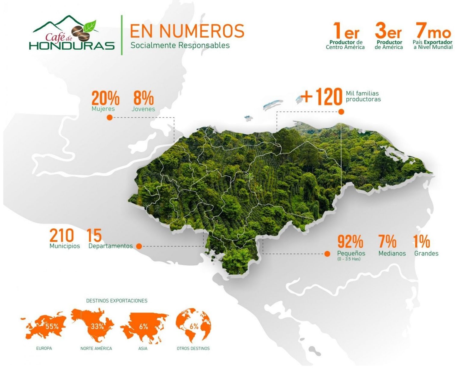 Infografía sobre el sector cafetalero de Honduras